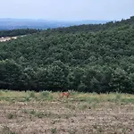Vakantieboerderij Tiberini Wine Relais Torrita di Siena
