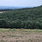 Фермерский дом Tiberini Wine Relais Торрита-ди-Сьена