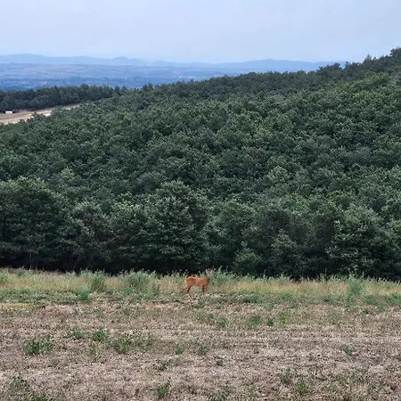 Alojamento de Turismo Rural Tiberini Wine Relais Torrita di Siena