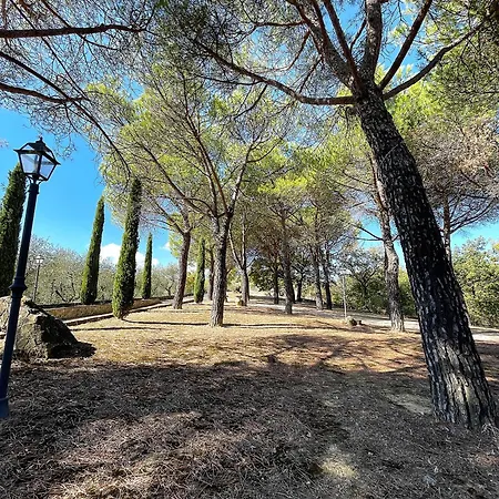 Tiberini Wine Relais Alojamento de Turismo Rural